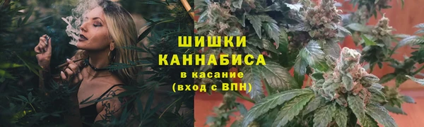 mdpv Медногорск