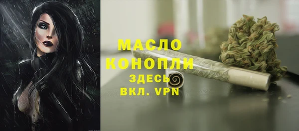 сатива Ахтубинск