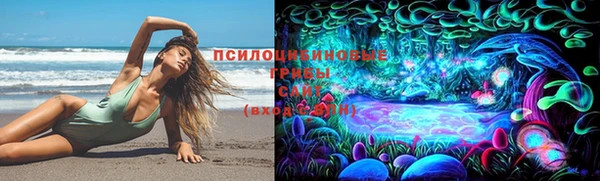 соль ск Мегион
