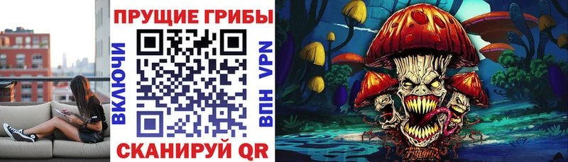 где найти наркотики  Таруса  Псилоцибиновые грибы мицелий 